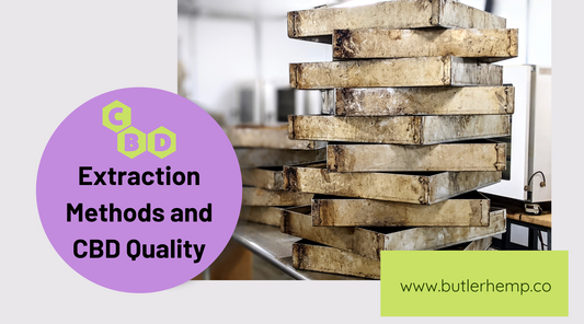 How Different Extraction Methods Determine the Quality of Your CBD