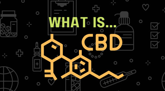What Exactly is CBD?
