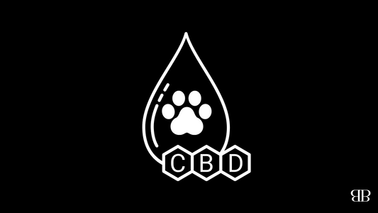 Can CBD Help Pets?