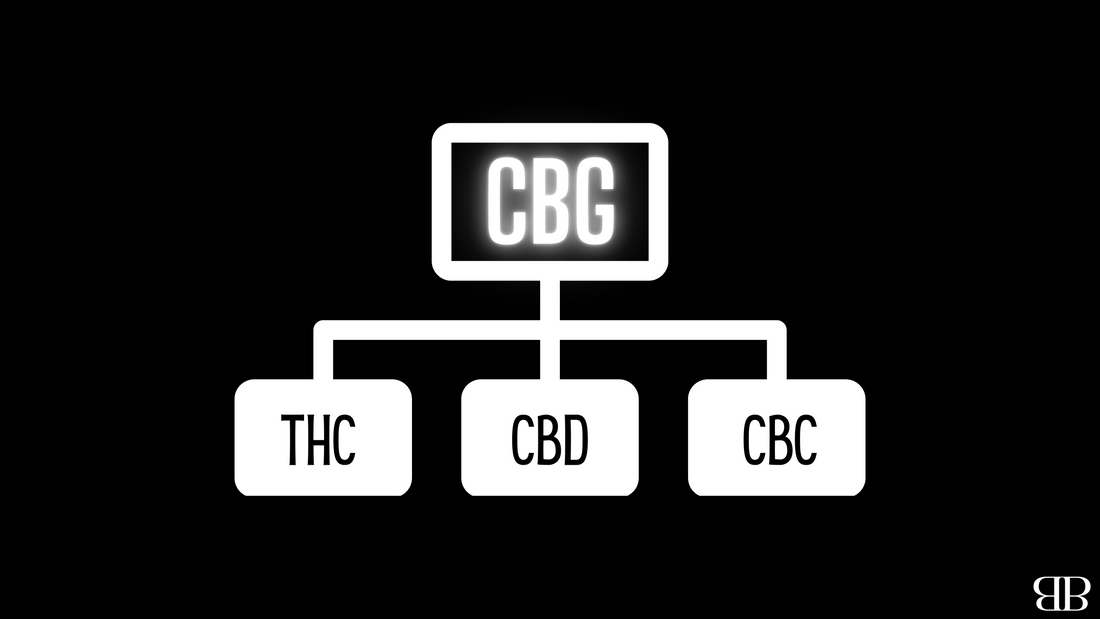 The Next BIG Thing: CBG